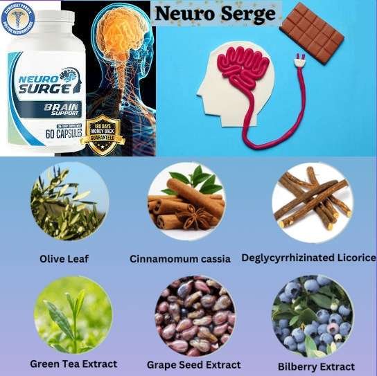 Neuro Serge Ingredients